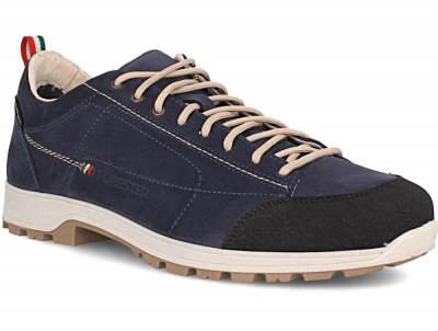 Мужские треккинг Forester Dolomites Alps 12001-11Fo (синий) Мужские треккинг Forester Dolomites Alps 12001-11Fo (синий)