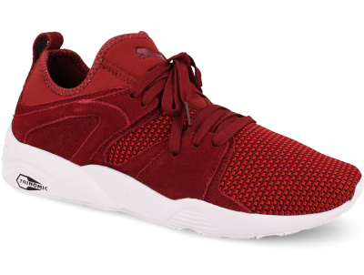 Мужские кроссовки Puma Blaze Of Glory 364128-02 (бордовый) Мужские кроссовки Puma Blaze Of Glory 364128-02 (бордовый)