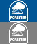 Forester Rain